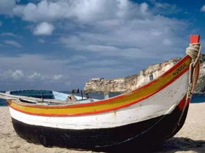 大海航行靠舵手，舵手靠船舶出租